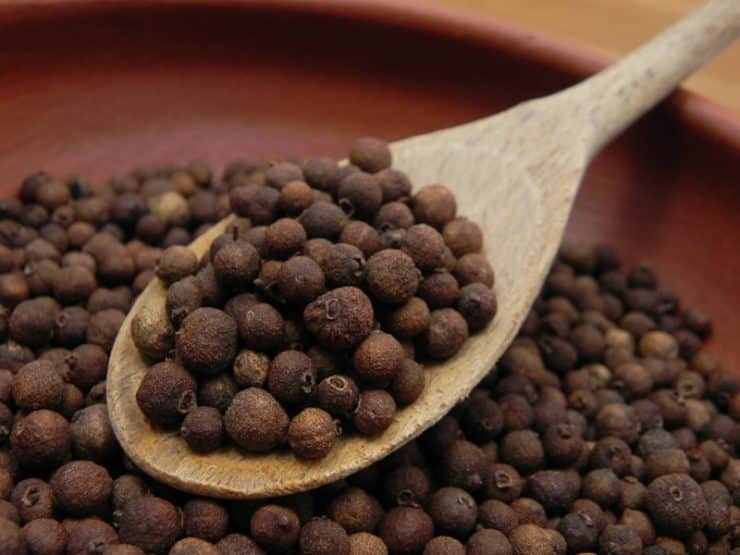 Allspice Essential Oil OptingHealth