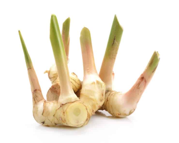 Can Galangal Be Used Instead Of Ginger