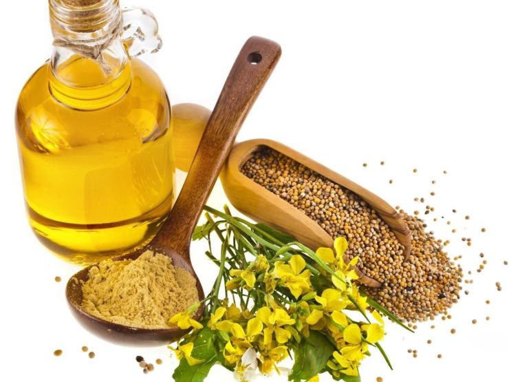 Mustard Essential Oil OptingHealth
