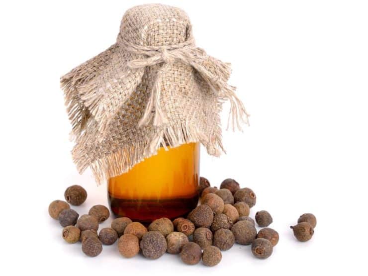 Pimento Essential Oil OptingHealth