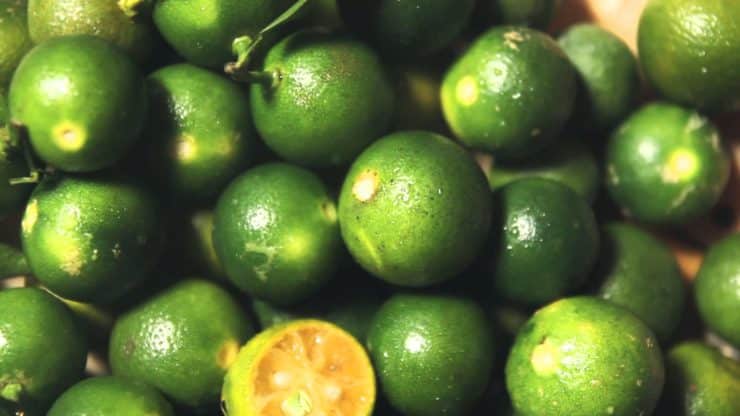 Calamansi Essential Oil - OptingHealth