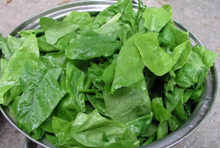 These 11 Foods High in Nitrates are Rich in Other Nutrients as Well