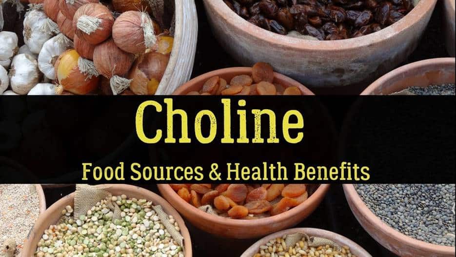 Foods High in Choline