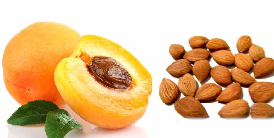 Apricot Seeds