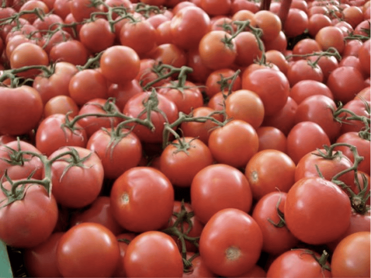 10 Nutritious Foods High in Carotenoids OptingHealth