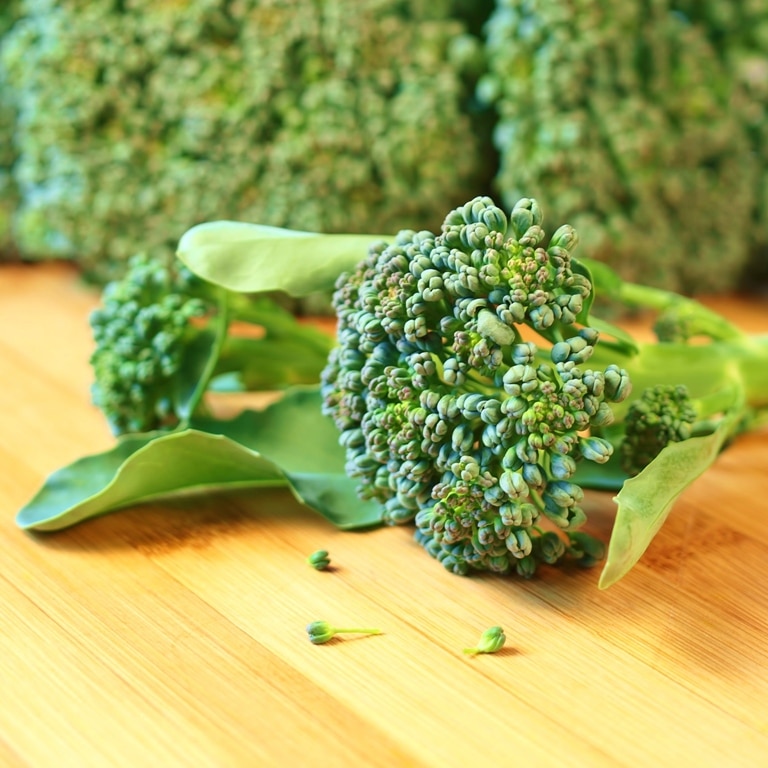 8 Health Benefits of Broccoli OptingHealth