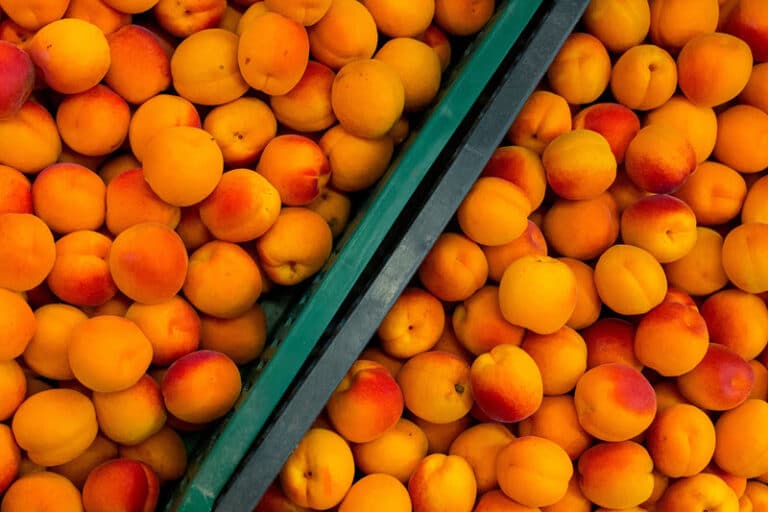 15 Foods High in Flavonoids (Best Sources) OptingHealth