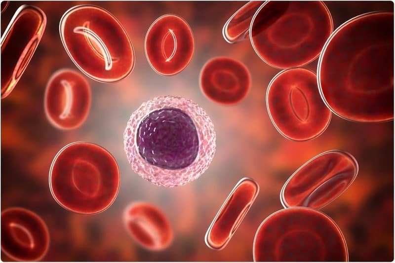 What Could Cause Low Lymphocytes 14 Possible Triggers List   Lymphocytes 